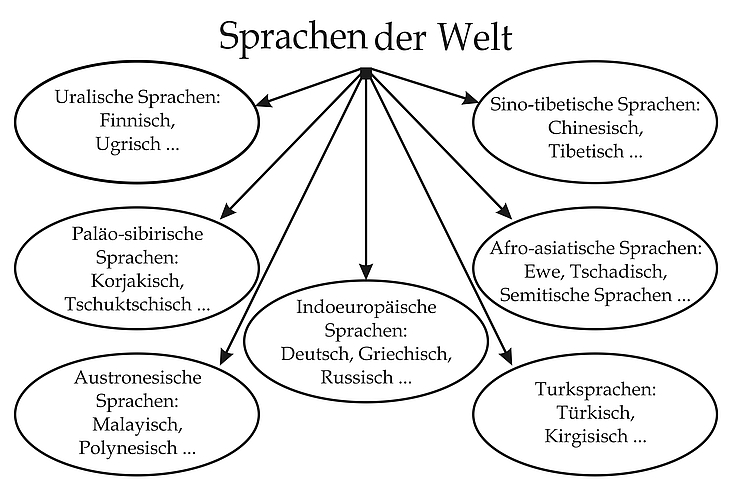 Abbildung 1