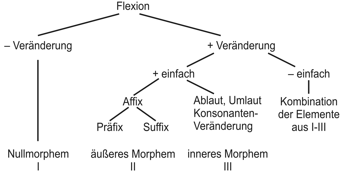 Abbildung 1